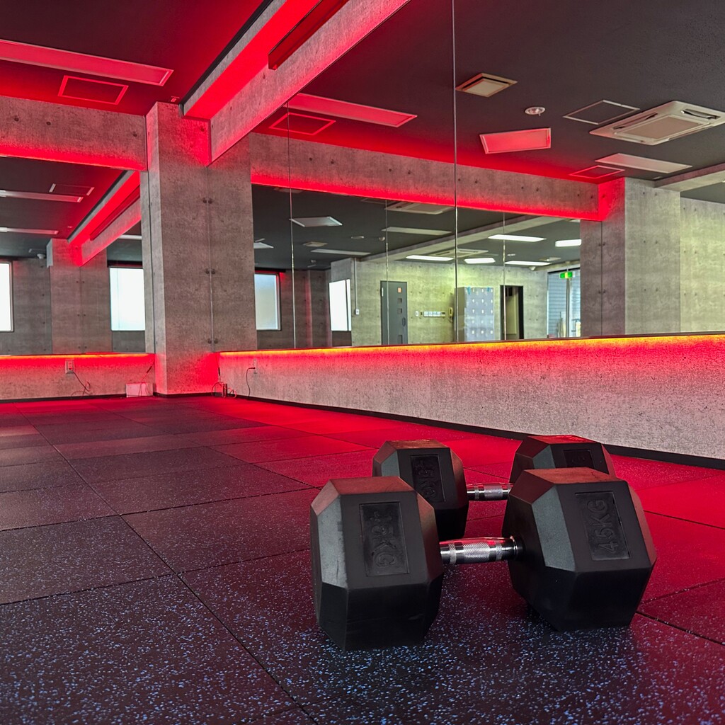 BayFit24